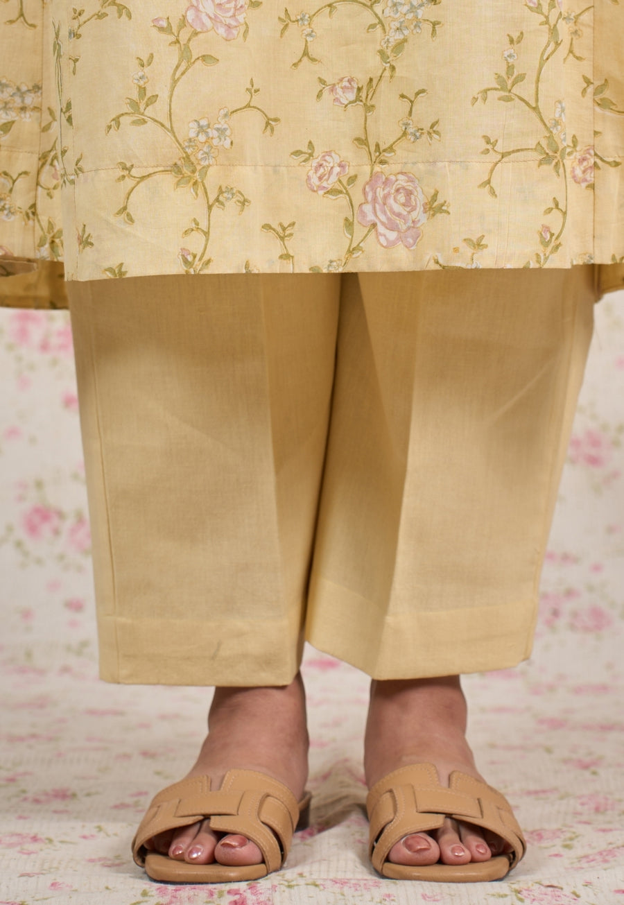 Prita Yellow Solid Cotton Flex Straight Pant